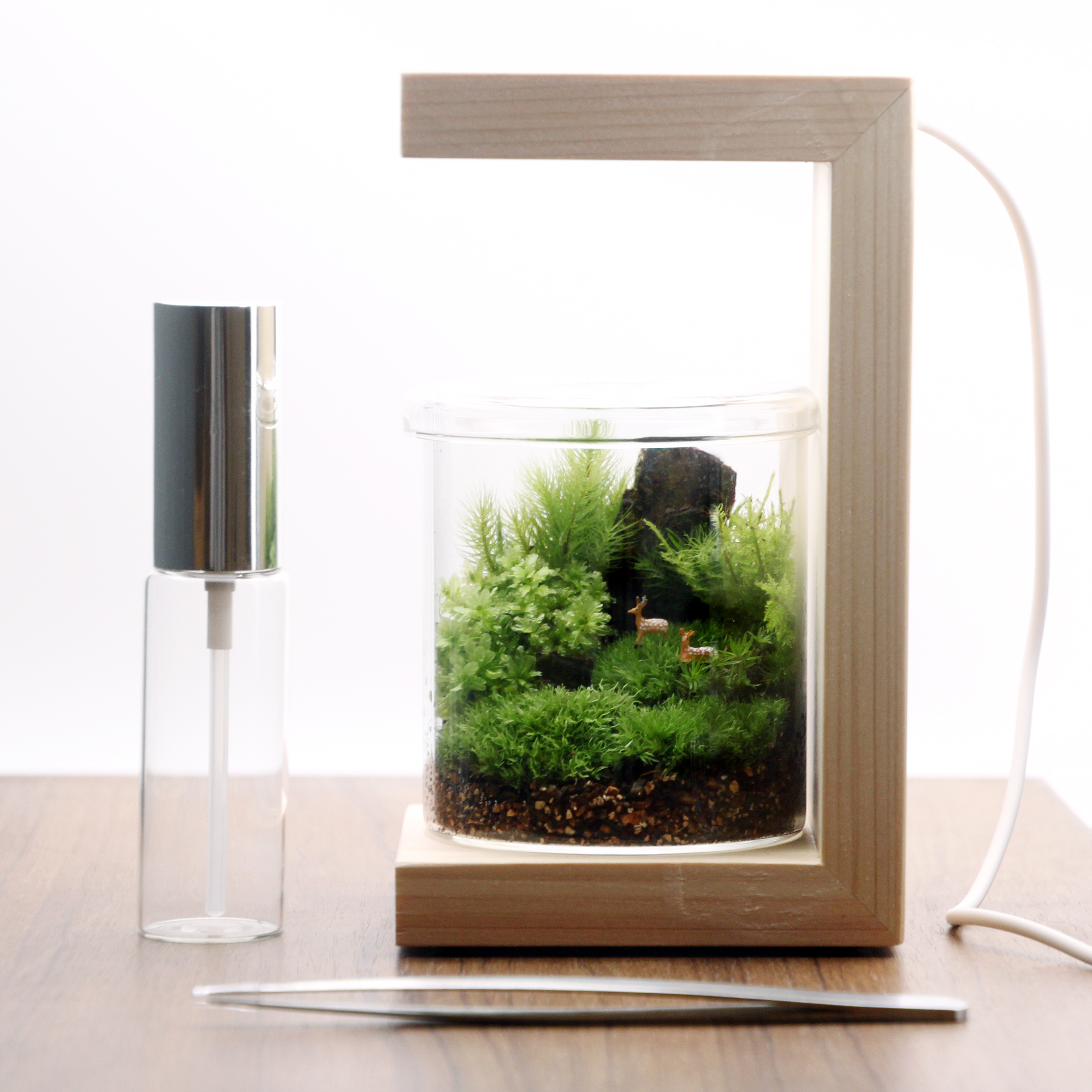 苔テラリウム 小鹿と苔の森  ヒノキのLEDスタンド・お手入れ道具付