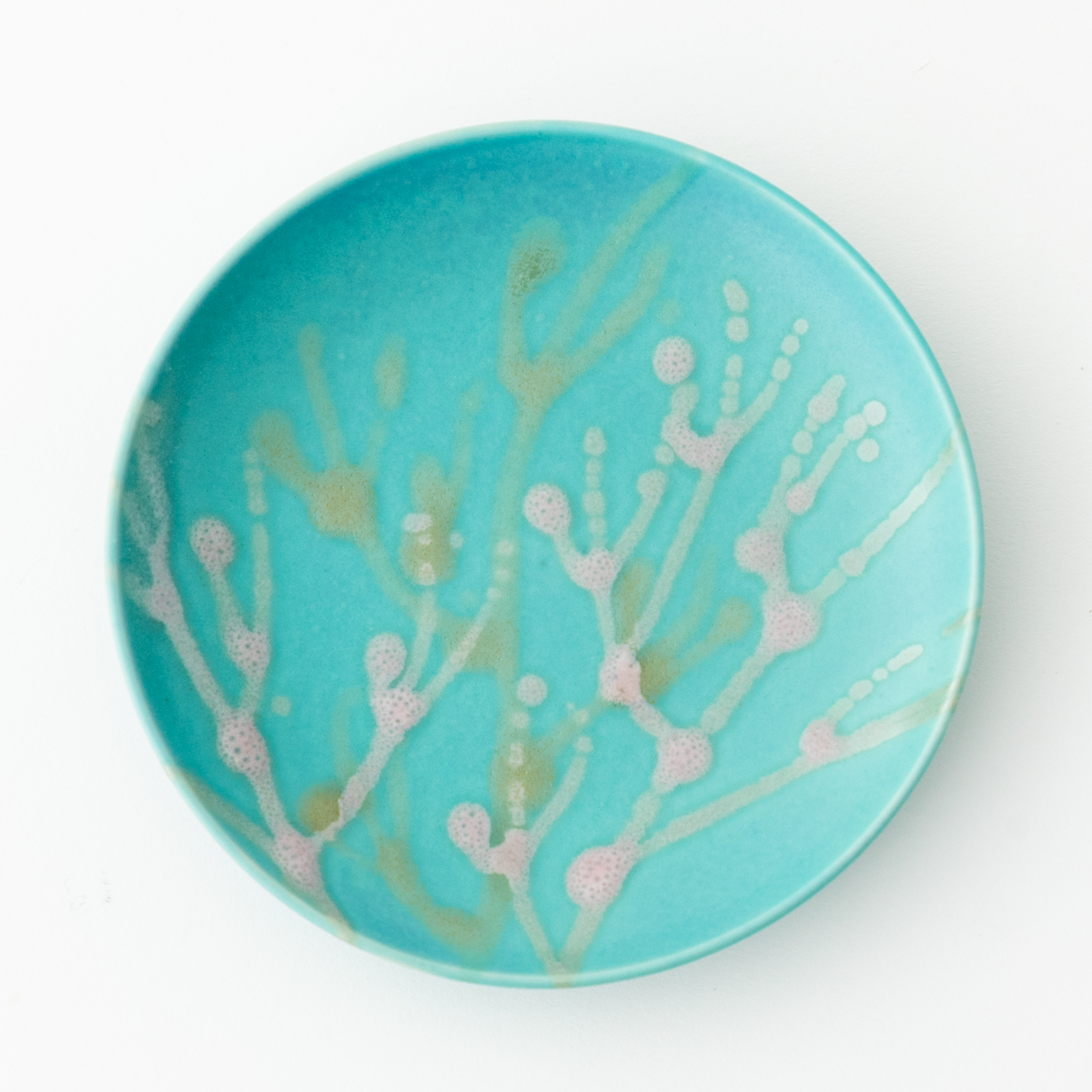 沖縄の海と縁起の良い珊瑚プレート 青色 4寸皿 やちむん 【ギフトボックス＆紙袋付き】