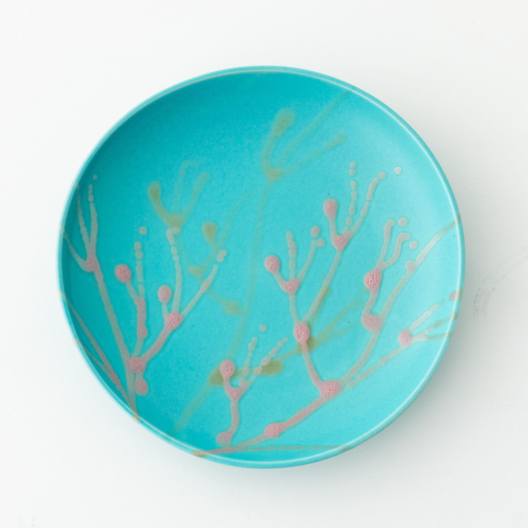 沖縄の海と縁起の良い珊瑚プレート 青色 5.5寸【ギフトボックス＆紙袋付き】