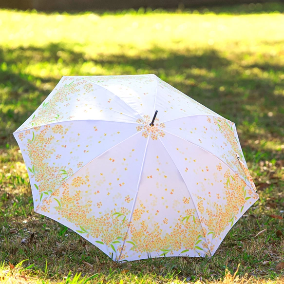 花咲く傘〈金木犀〉とポストカード10枚セット