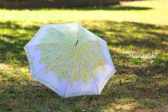 花咲く傘〈ミモザ〉とポストカード10枚セット