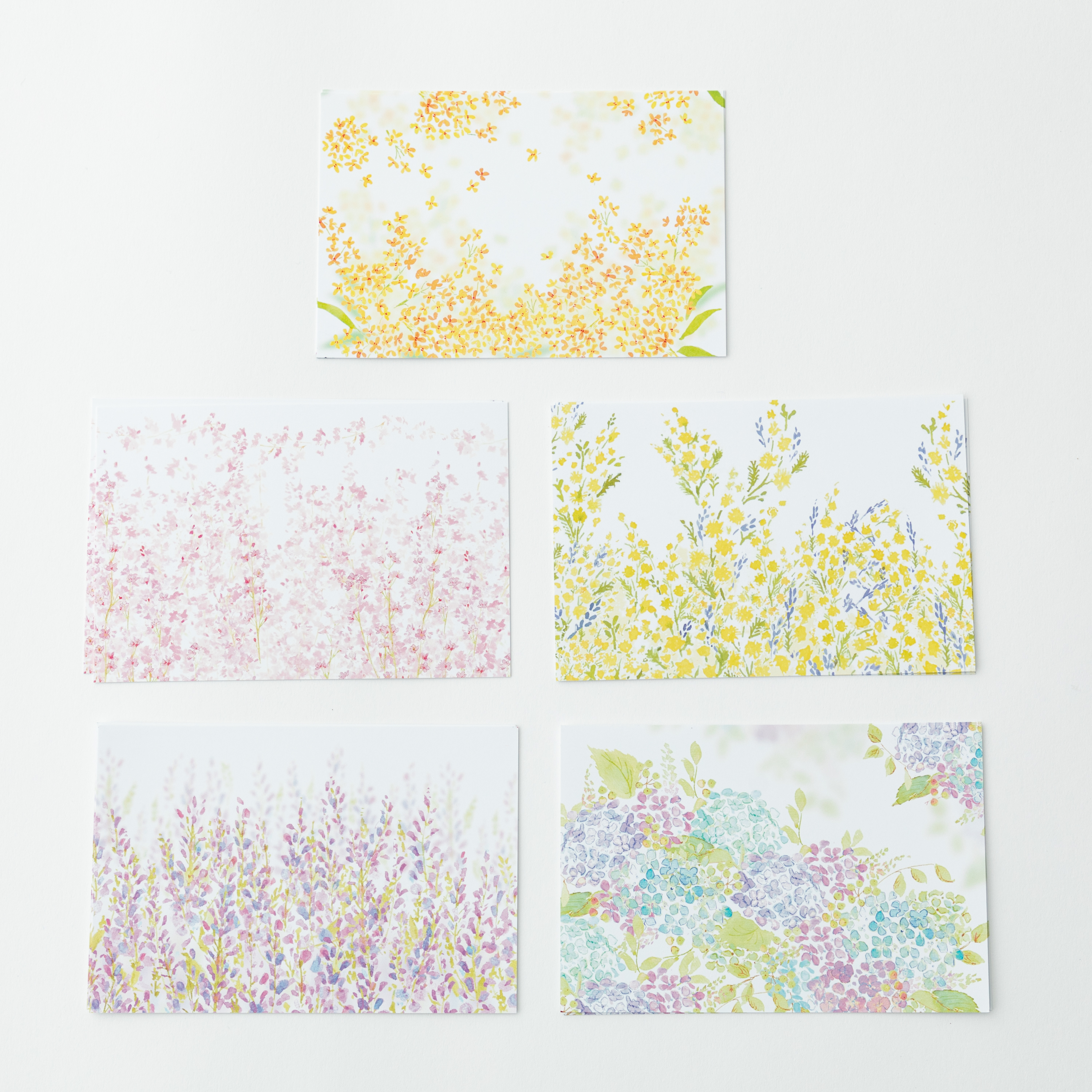 花咲く傘〈金木犀〉とポストカード10枚セット