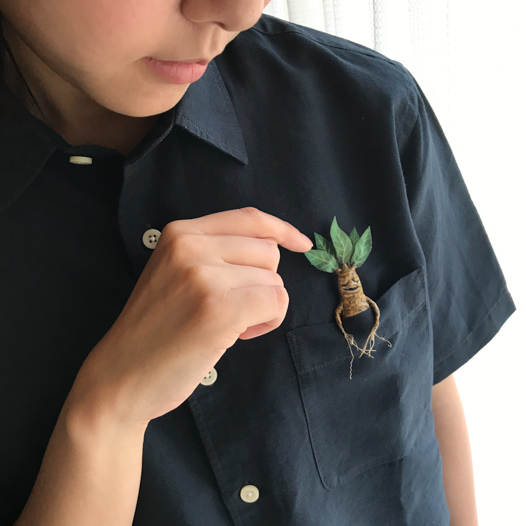 夢見るマンドレイクのブローチ(ボックス付き)