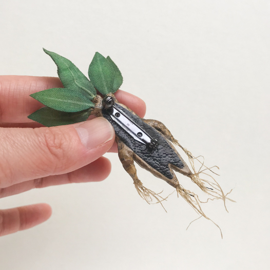 夢見るマンドレイクのブローチ(ボックス付き)