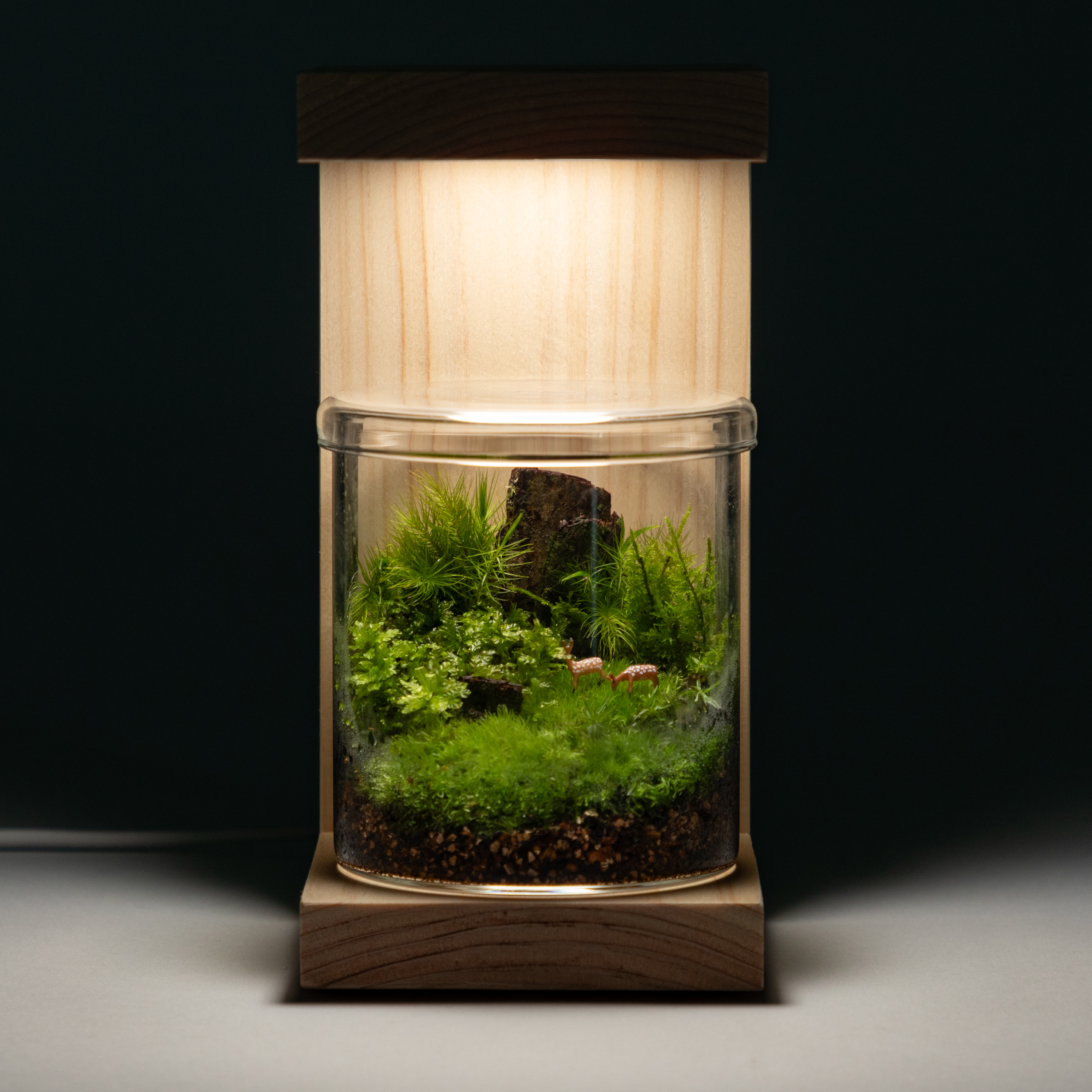 苔テラリウム 小鹿と苔の森  ヒノキのLEDスタンド・お手入れ道具付