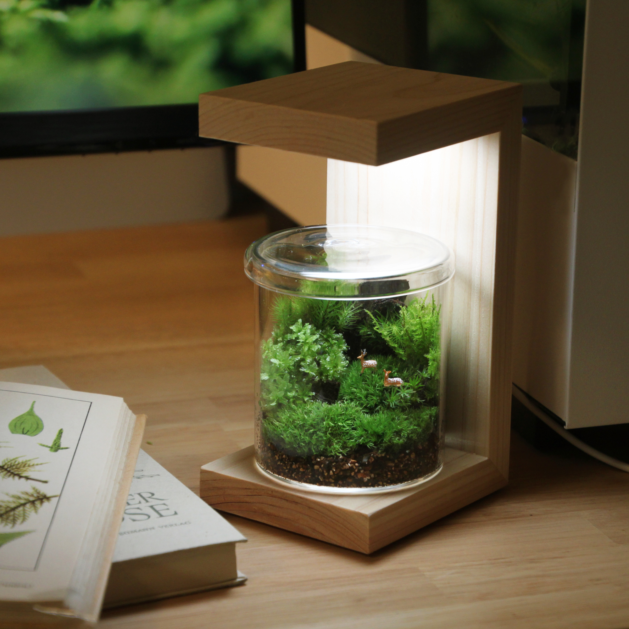 苔テラリウム 小鹿と苔の森  ヒノキのLEDスタンド・お手入れ道具付