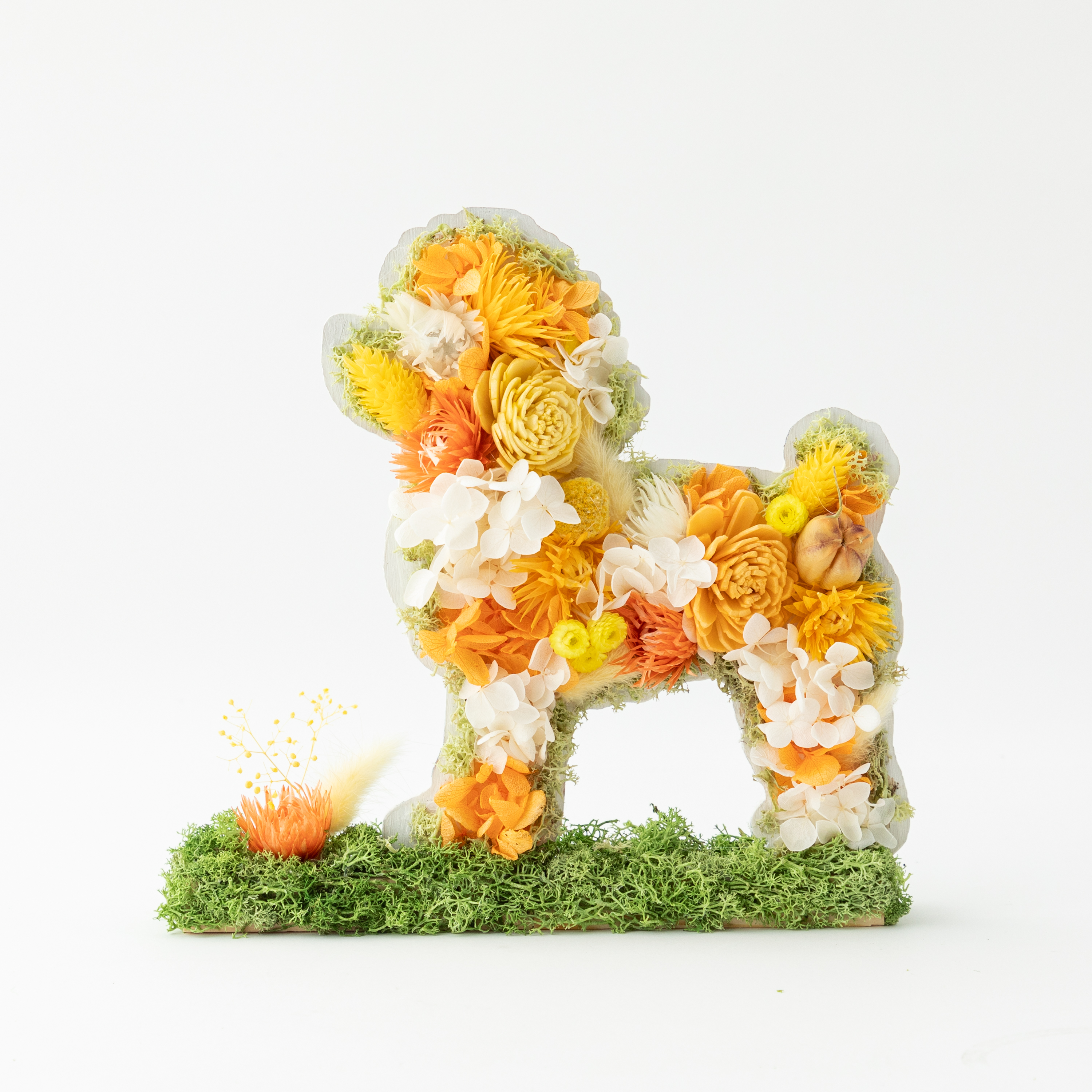 Animal フラワーシルエット！プードル！プリザーブドフラワー