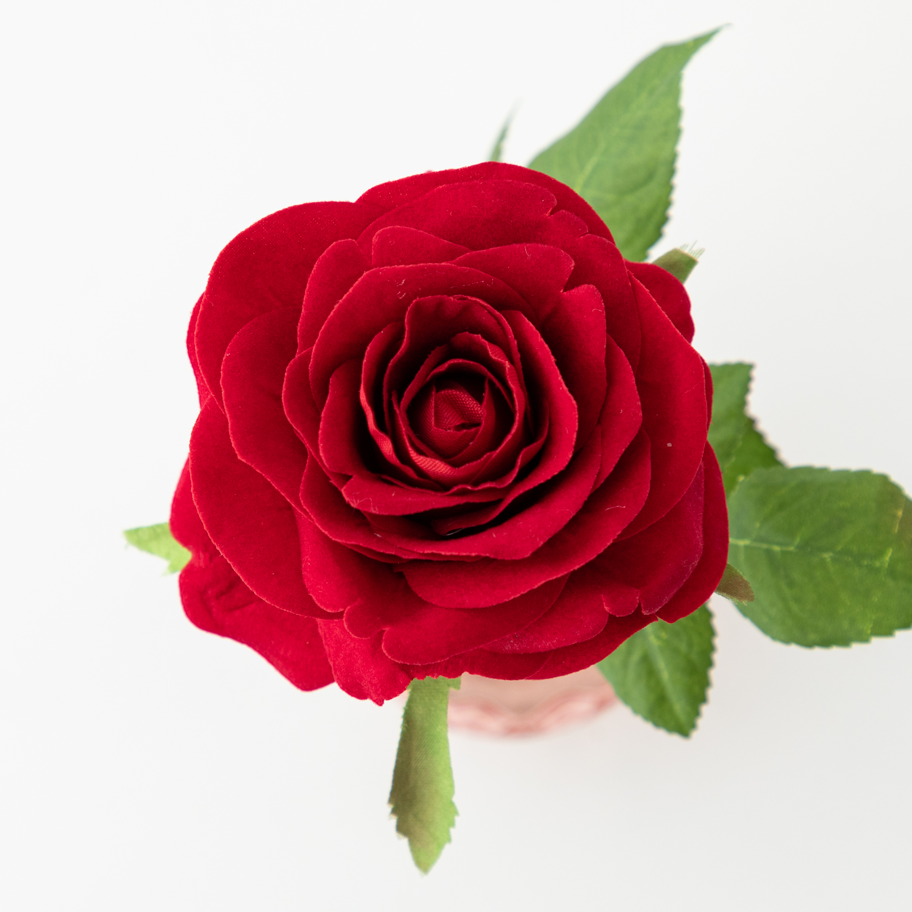 《ずっと咲いてる》ベルベッドの美しい赤バラ一輪ざし