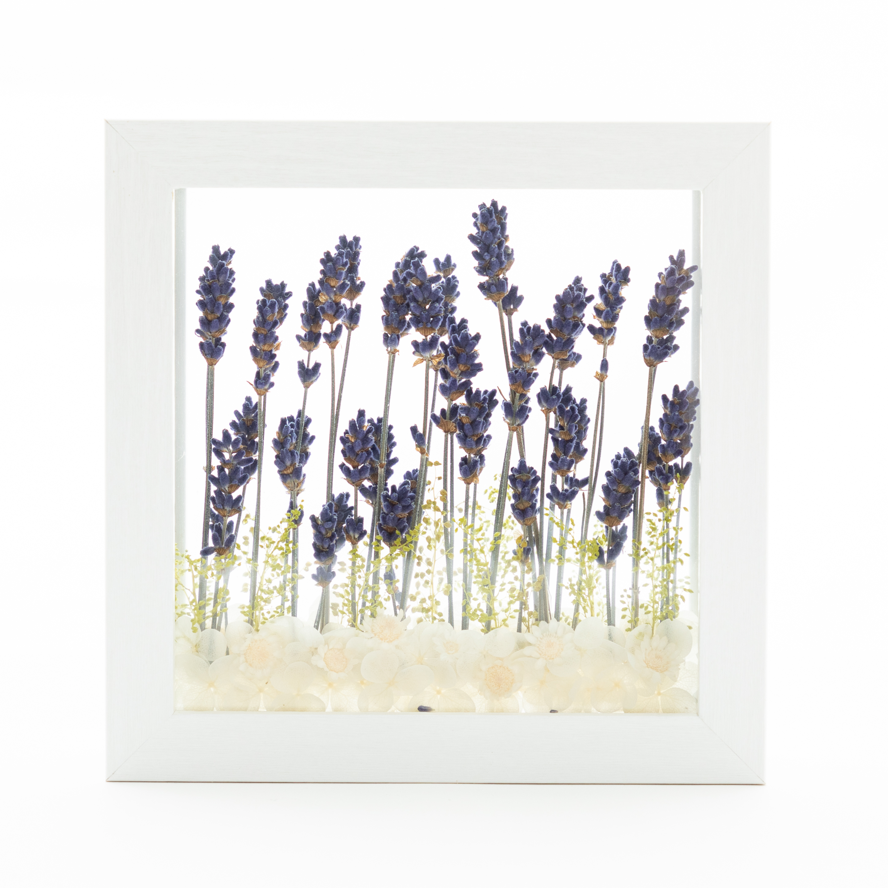 ラベンダー畑のフローティングフレームアレンジ（無料ギフトラッピング）