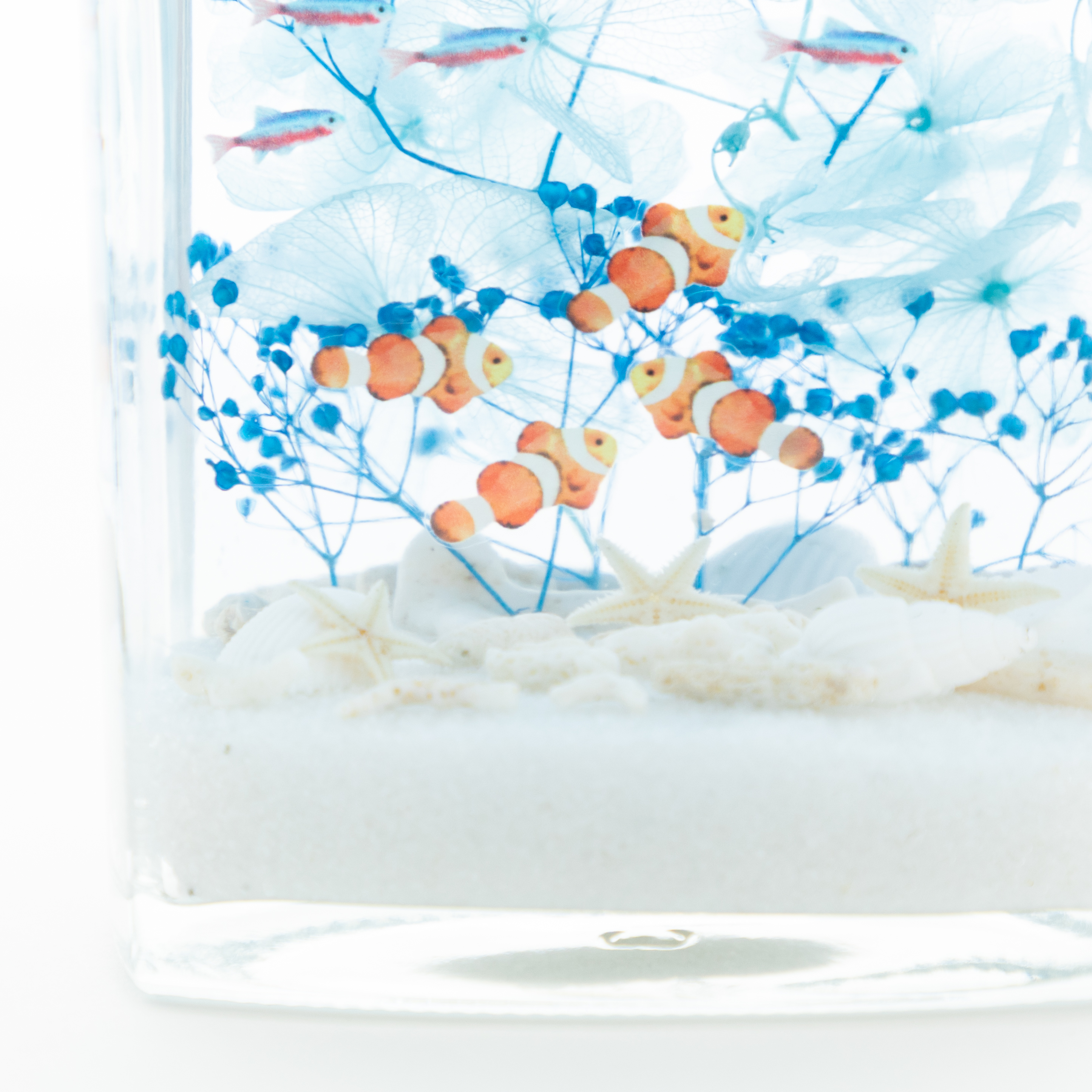 《インテリアハーバリウム》熱帯魚いっぱいの青い海＆ホワイトサンド（無料ギフトラッピング）