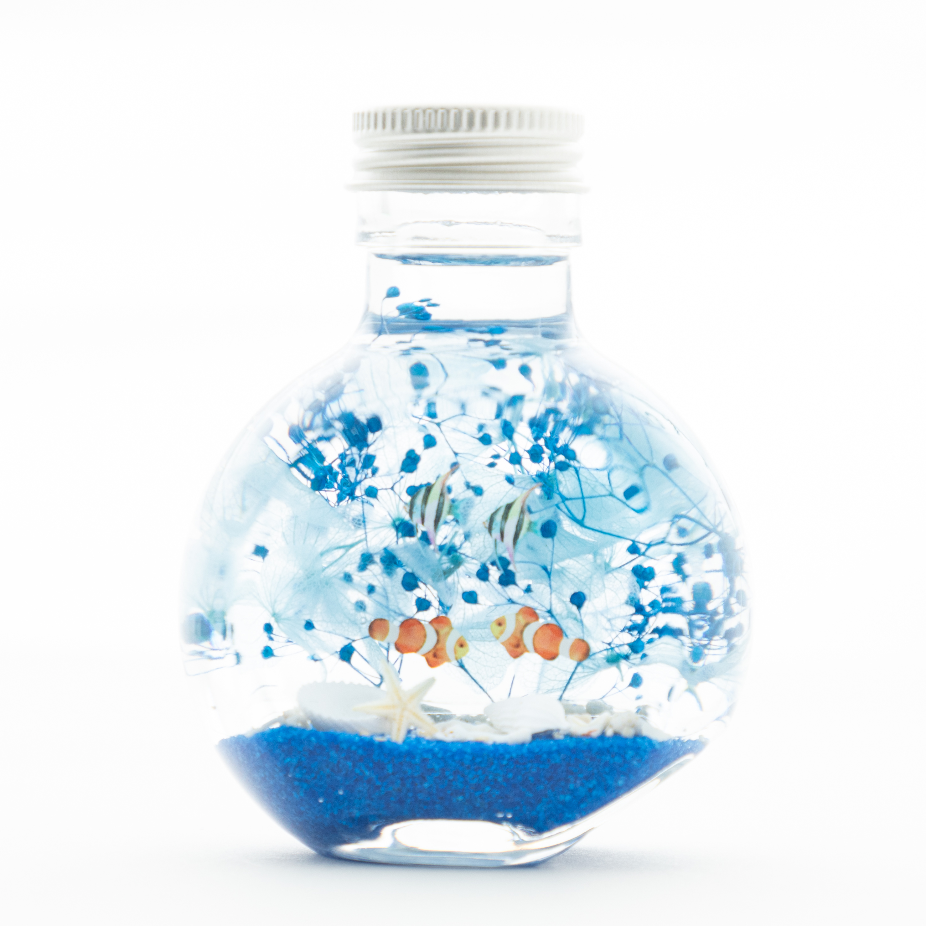 プチサイズ海のインテリアハーバリウム