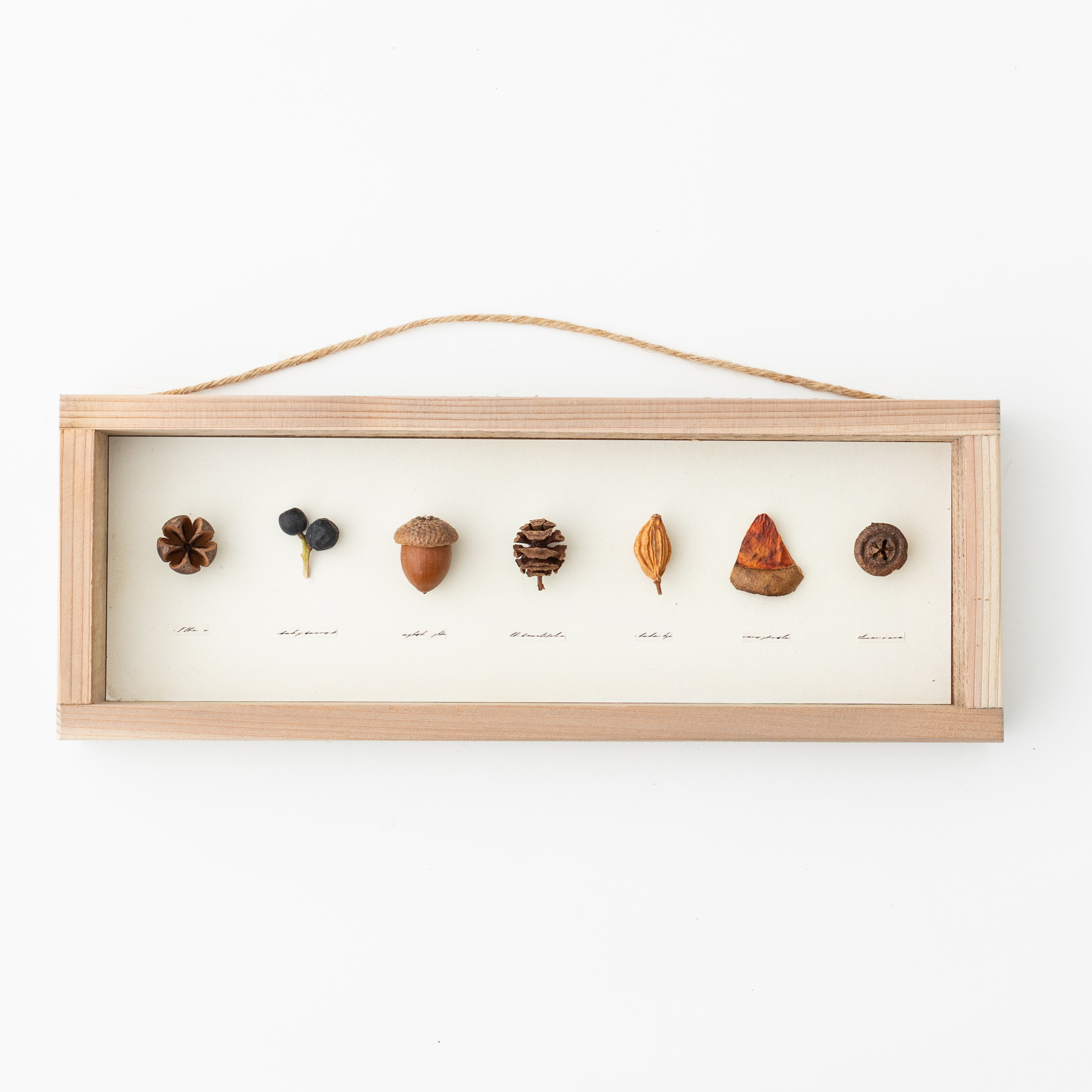 木の実のパネル