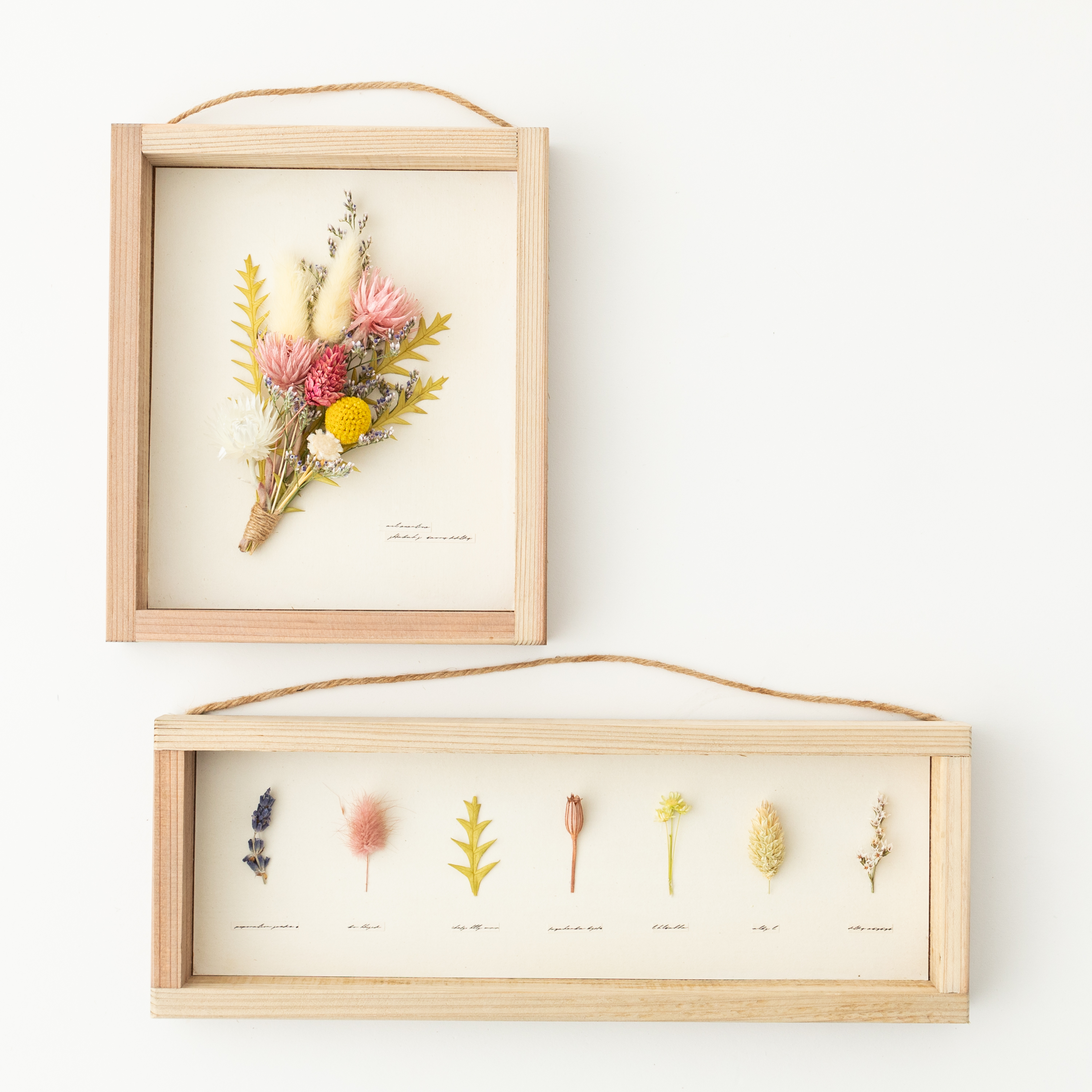  ２枚セット　植物標本風パネル+ボタニカルパネル