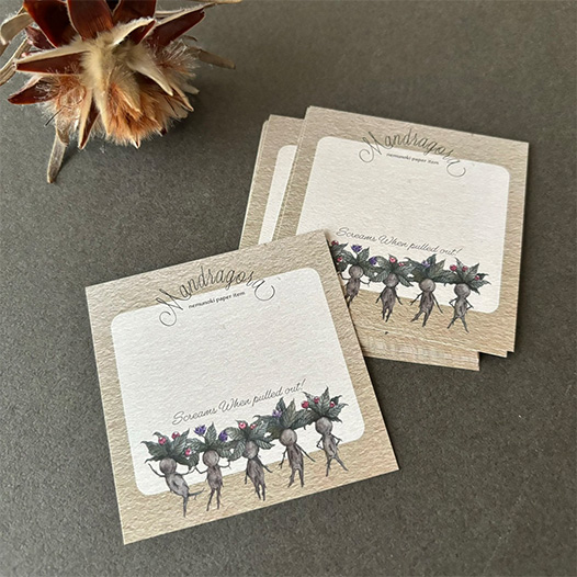 マンドラゴラのポーチセット