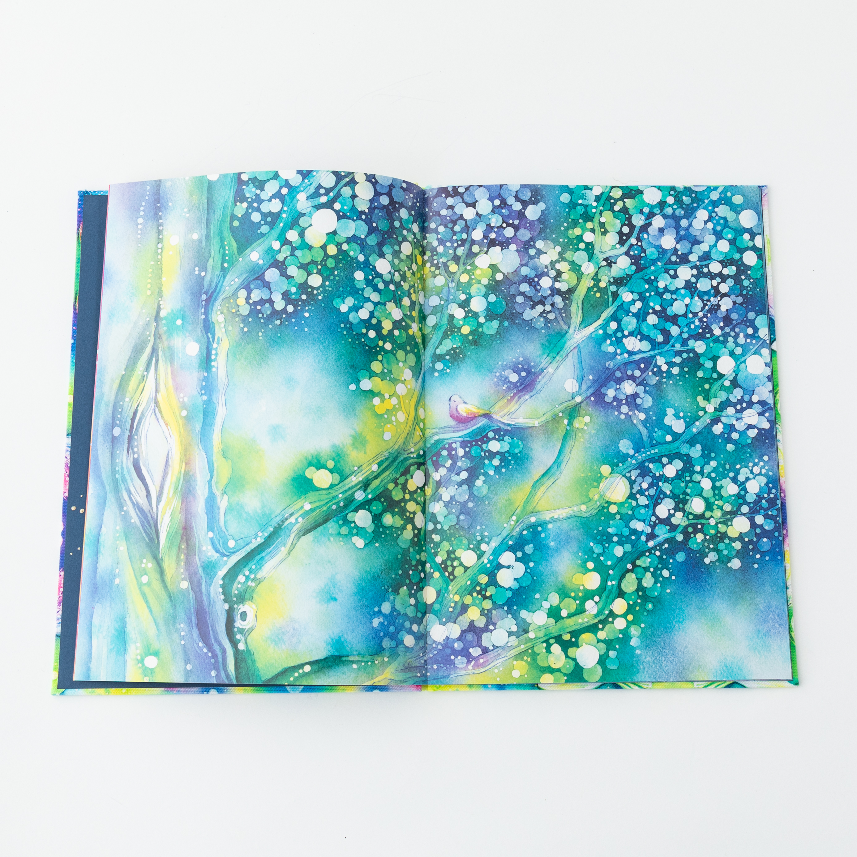 宝物絵本　星の鳥のうまれるところ