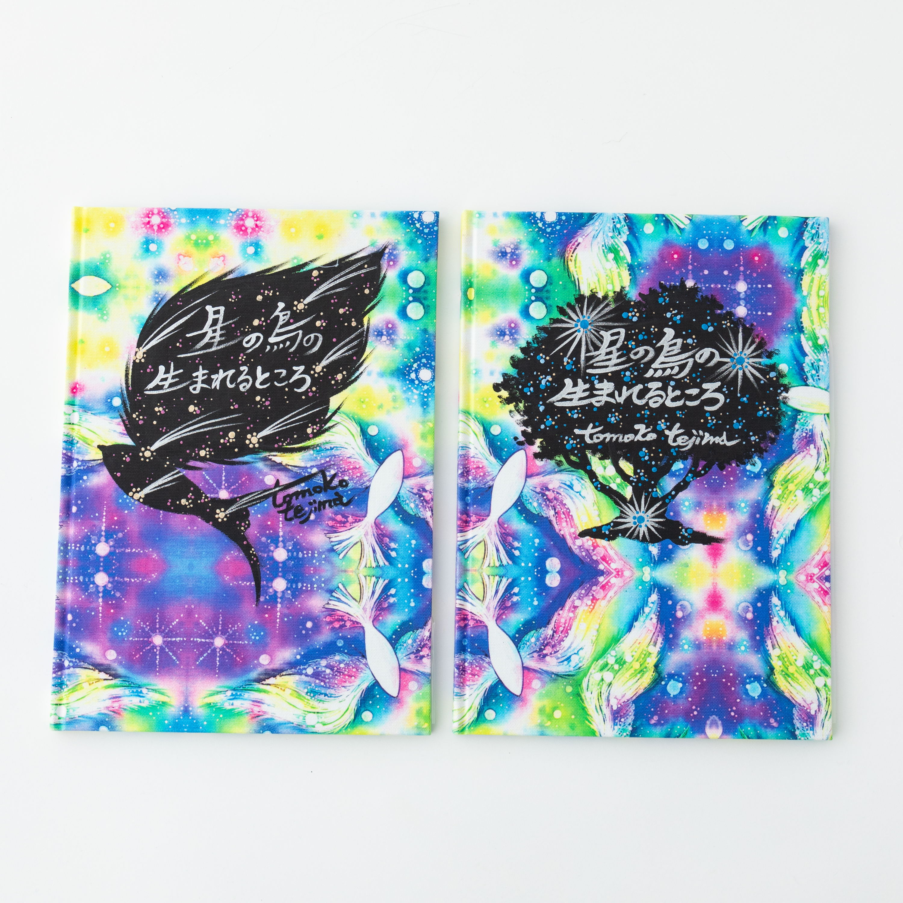 宝物絵本　星の鳥のうまれるところ