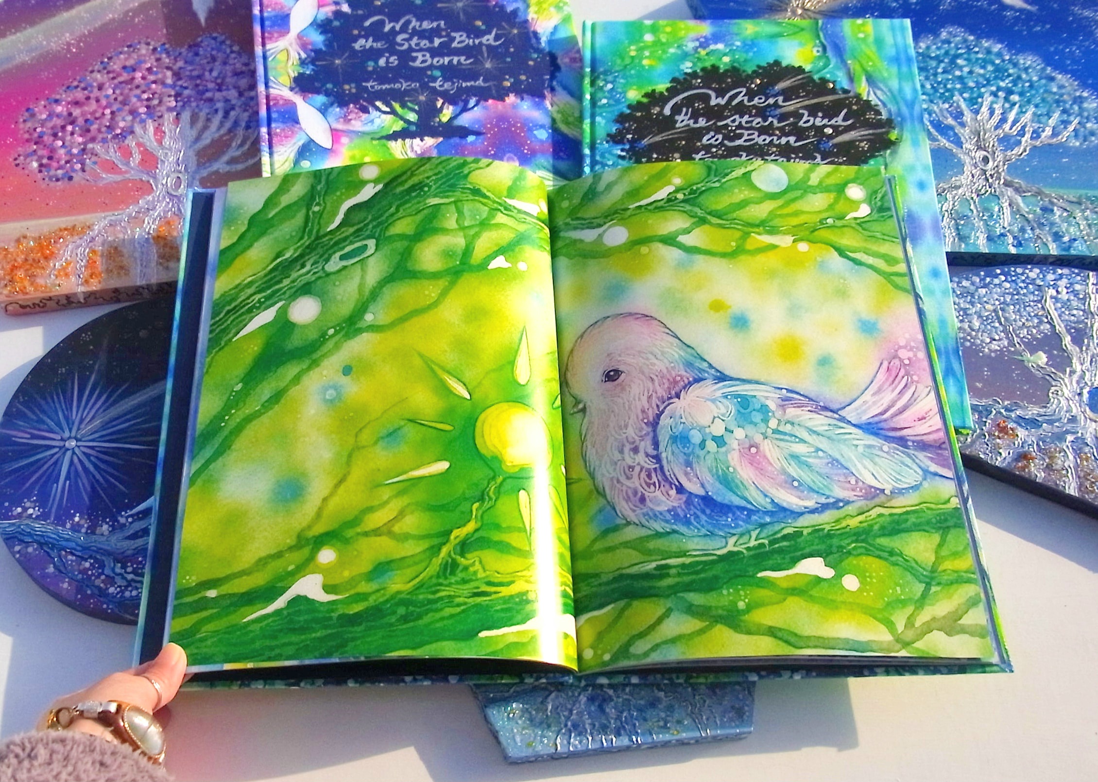 宝物絵本　星の鳥のうまれるところ